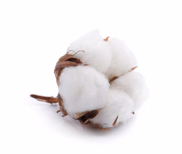 Paper, hanky and cotton